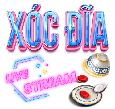 X&oacute;c đĩa tp88